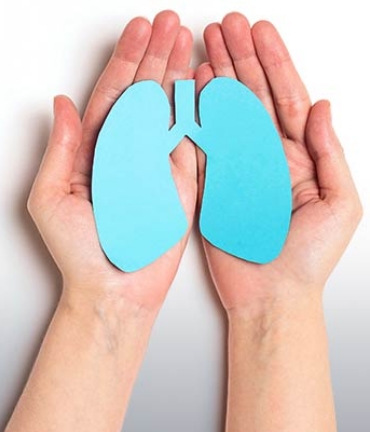 A pair of hands holding a paper cutout of a set of lungs
